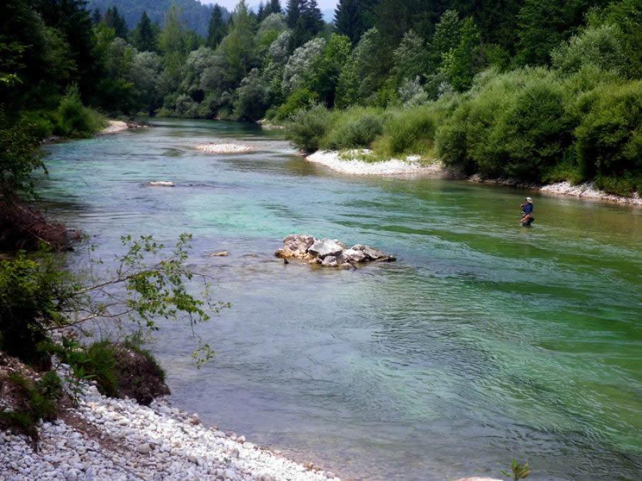 Rems Leilighet Bohinj Eksteriør bilde